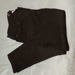 Torrid Source of Wisdom Pants